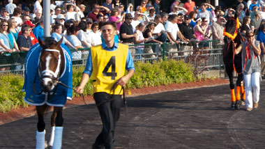 walking horses around track