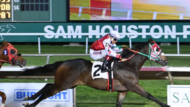 jockey on horse