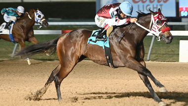 Cowboys Flying Retama