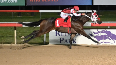 Cowboys Flying Retama