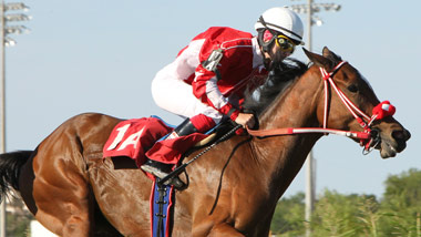 Horse and Jockey racing on track