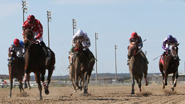 six horses with jockey's racing toward the camera