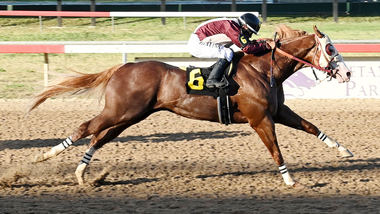 royalist 2