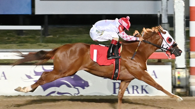 jockey on horse