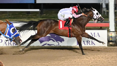 jockey on horse